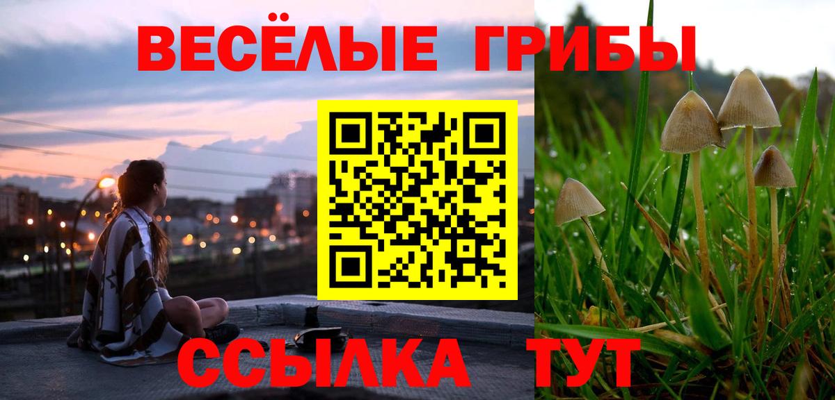 Галлюциногенные грибы Psilocybine cubensis Алексин